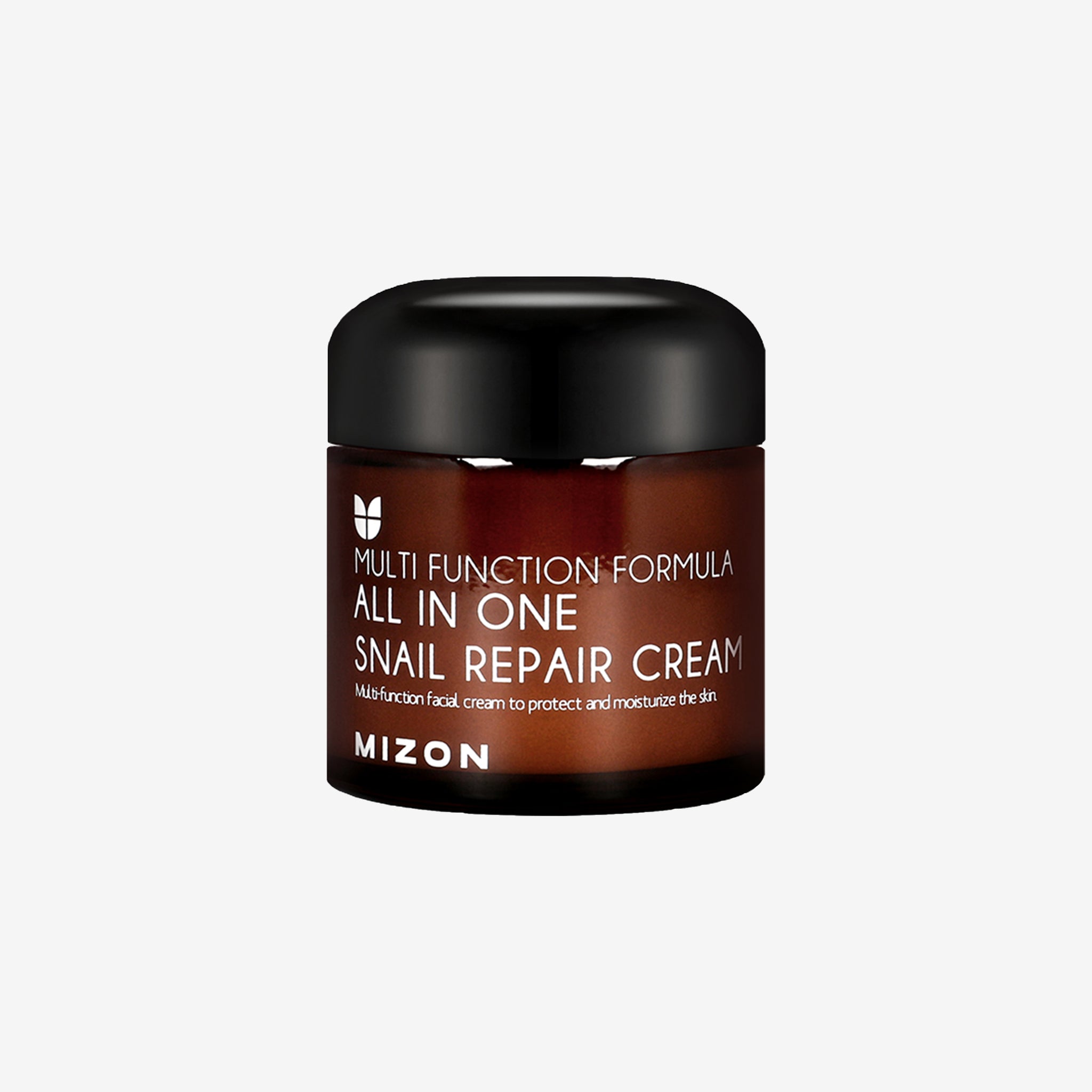 Mizon All in One Snail Repair Cream 75 ml