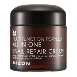 Mizon All in One Snail Repair Cream 75 ml